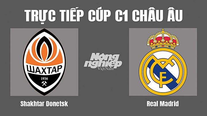 Trực tiếp bóng đá Cúp C1 Châu Âu giữa Shakhtar Donetsk vs Real Madrid hôm nay 12/10/2022