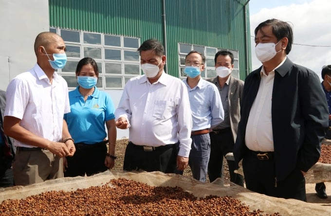 Minister Le Minh Hoan (right) visits Nam Yang Agricultural Cooperative (Gia Lai) in 2021. Photo: Minh Quy.