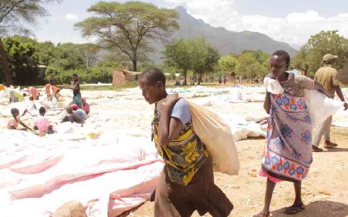 Farmers sorting maize before shelling at Wei Wei irrigation scheme in Sigor, West Pokot County. Photo: Christopher Kipsang