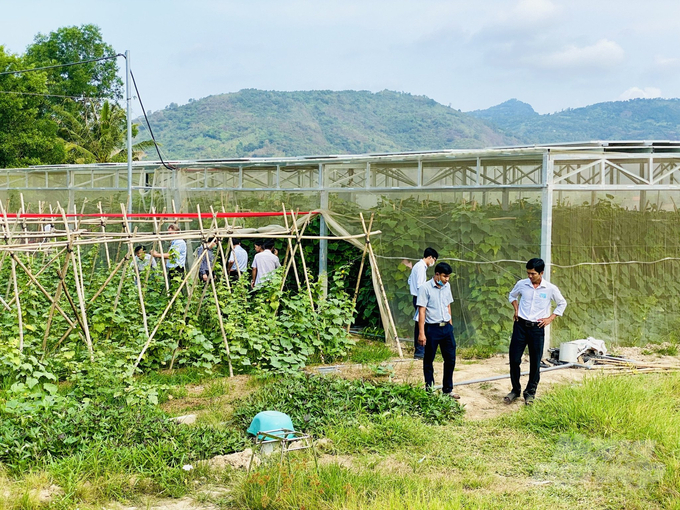 Trong thời gian tới, ngành nông nghiệp tỉnh An Giang khuyến khích các hộ vùng đồng bào dân tộc Khmer tại vùng Bảy Núi kết hợp mô hình sản xuất nông nghiệp với điện mặt trời khai thác hợp lý lợi thế tự nhiên. Ảnh: Lê Hoàng Vũ.