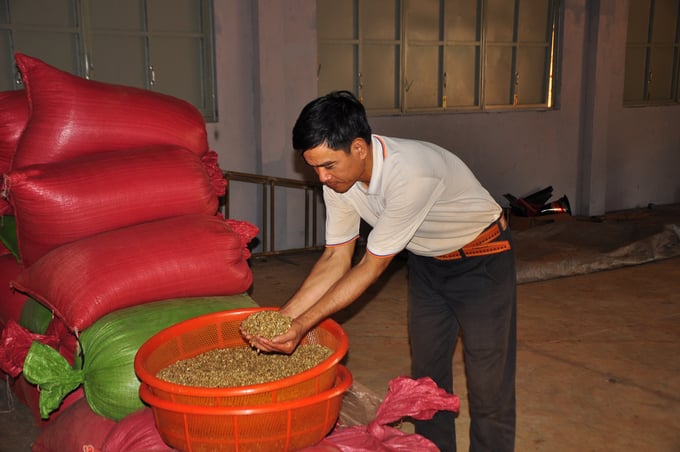 The success of the VnSAT Project greatly contributes to the development of the rice and coffee industries in particular and Vietnam’s agriculture in general.