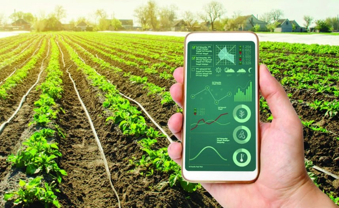 The national database system on crop production will fully integrate information regarding the list of circulating varieties, protected plant varieties, ​​crop structure transformation areas, granting and management of planting area codes.