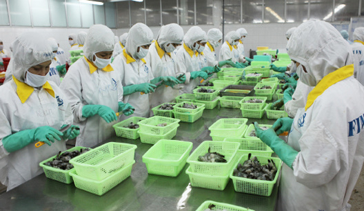 Processing shrimp for export of SAOTA Food Joint Stock Company. Photo: Huu Duc.