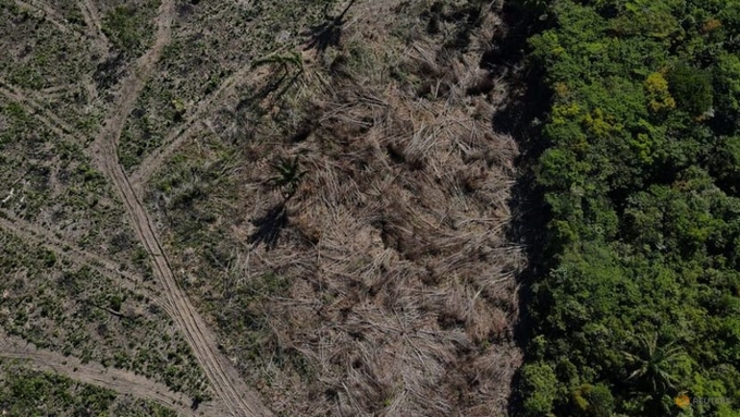 An aerial view shows a deforested plot of the Amazon rainforest in Manaus, Amazonas State, Brazil July 8, 2022. 