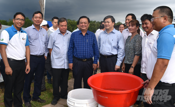 Đoàn công tác tham quan mô hình nuôi tôm công nghệ cao tại hộ nông dân Nguyễn Minh Nhũ ngày 12/10. Ảnh: Minh Đảm.