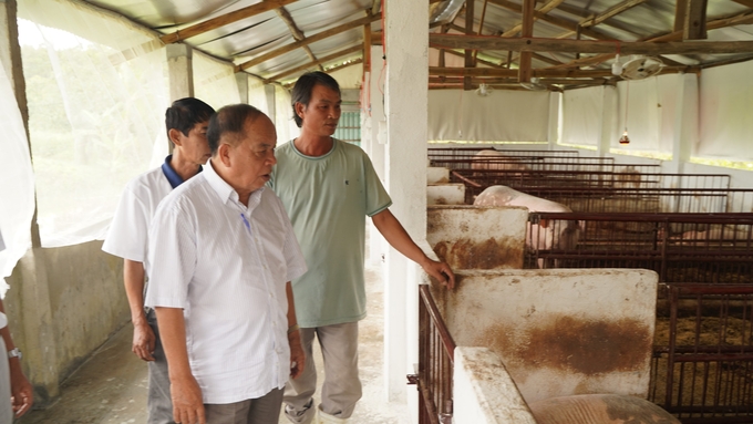 Ông Nguyễn Hồng Lam và những người nuôi lợn hữu cơ đầu tiên ở Định Quán. Ảnh: Hoàng Anh.