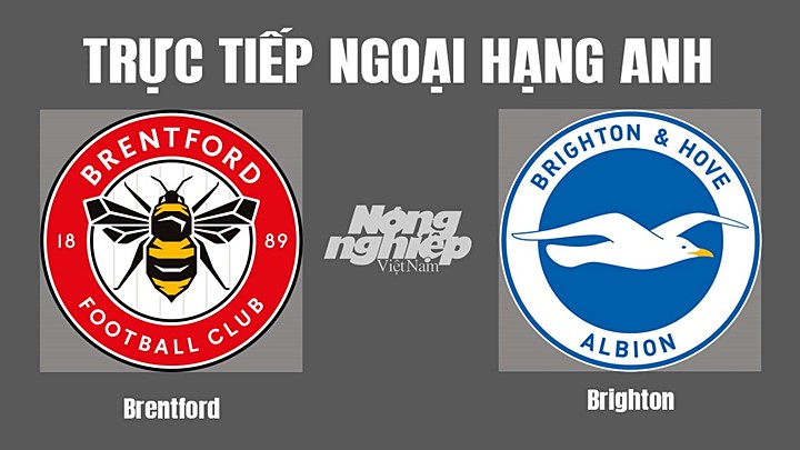 Trực tiếp bóng đá Ngoại hạng Anh giữa Brentford vs Brighton hôm nay 15/10/2022