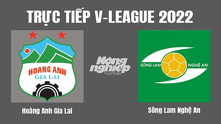 Trực tiếp bóng đá V-League (VĐQG Việt Nam) 2022 giữa HAGL vs SLNA hôm nay 14/10/2022