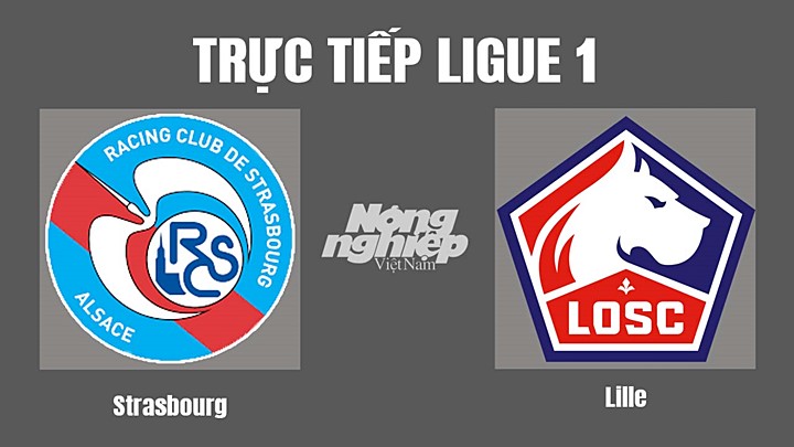 Trực tiếp bóng đá Ligue 1 (VĐQG Pháp) 2022/23 giữa Strasbourg vs Lille hôm nay 15/10/2022