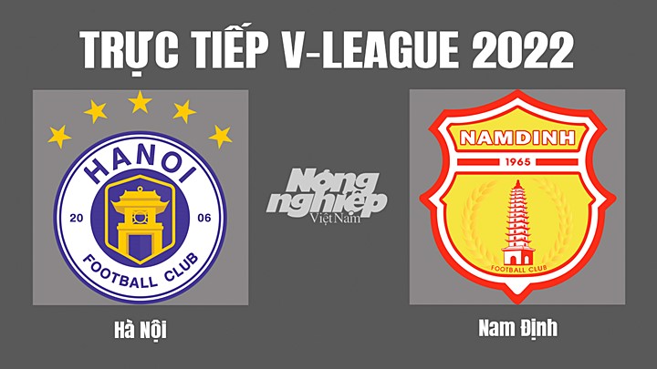 Trực tiếp bóng đá V-League (VĐQG Việt Nam) 2022 giữa Hà Nội vs Nam Định hôm nay 15/10/2022