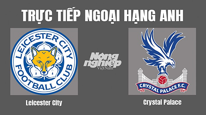 Trực tiếp bóng đá Ngoại hạng Anh giữa Leicester City vs Crystal Palace hôm nay 15/10/2022