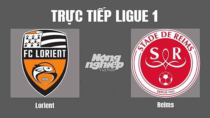 Trực tiếp bóng đá Ligue 1 (VĐQG Pháp) 2022/23 giữa Lorient vs Reims hôm nay 15/10/2022