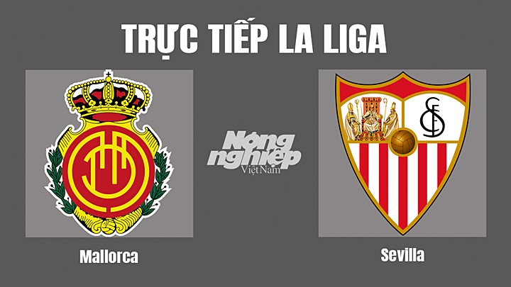 Trực tiếp bóng đá La Liga 2022/23 giữa Mallorca vs Sevilla hôm nay 15/10/2022