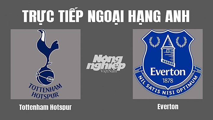 Trực tiếp bóng đá Ngoại hạng Anh giữa Tottenham vs Everton hôm nay 15/10/2022