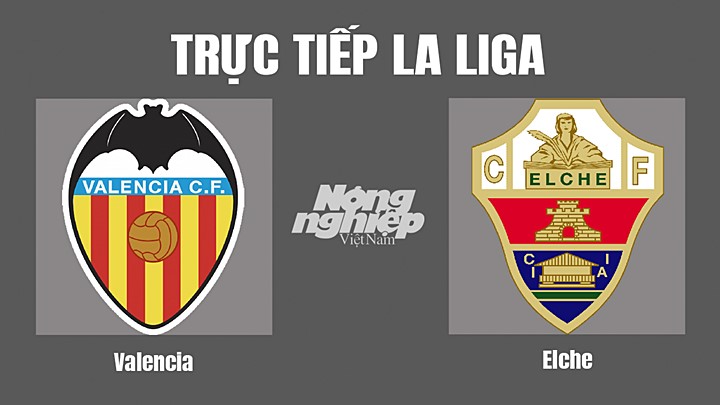 Trực tiếp bóng đá La Liga 2022/23 giữa Valencia vs Elche hôm nay 15/10/2022