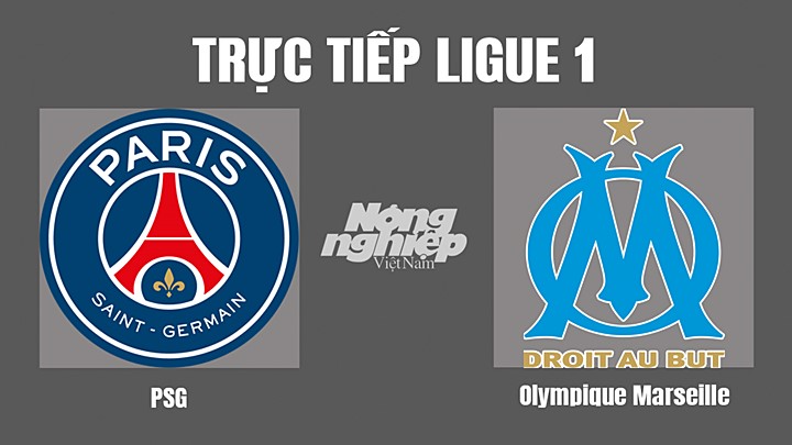 Trực tiếp bóng đá Ligue 1 (VĐQG Pháp) 2022/23 giữa PSG vs Marseille hôm nay 17/10/2022