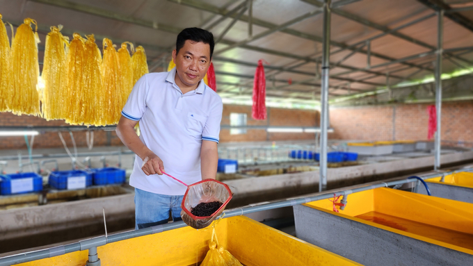 Mr. Nguyen Thanh Tan, Director of Thanh Tan Artificial Eel Farm, participates in building an eel export chain in early 2023. Photo: Kim Anh.