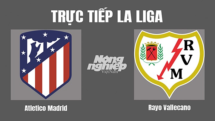 Trực tiếp bóng đá La Liga 2022/23 giữa Atletico Madrid vs Rayo Vallecano hôm nay 19/10/2022