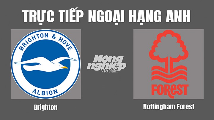 Trực tiếp bóng đá Ngoại hạng Anh giữa Brighton vs Nottingham Forest hôm nay 19/10/2022