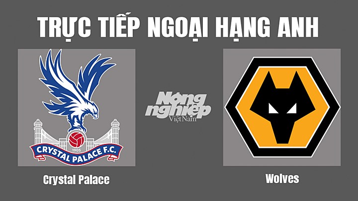 Trực tiếp bóng đá Ngoại hạng Anh giữa Crystal Palace vs Wolves hôm nay 19/10/2022