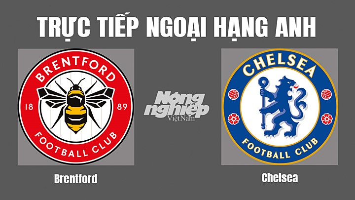 Trực tiếp bóng đá Ngoại hạng Anh giữa Brentford vs Chelsea hôm nay 20/10/2022