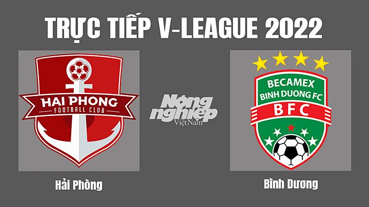 Trực tiếp bóng đá V-League (VĐQG Việt Nam) 2022 giữa Hải Phòng vs Bình Dương hôm nay 19/10/2022