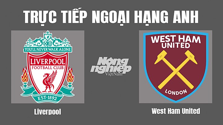 Trực tiếp bóng đá Ngoại hạng Anh giữa Liverpool vs West Ham hôm nay 20/10/2022