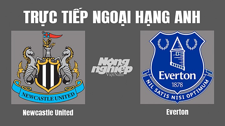 Trực tiếp bóng đá Ngoại hạng Anh giữa Newcastle United vs Everton hôm nay 20/10/2022