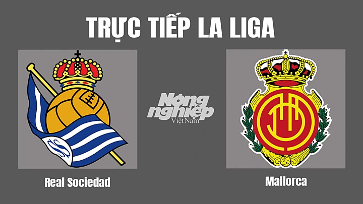 Trực tiếp bóng đá La Liga 2022/23 giữa Real Sociedad vs Mallorca hôm nay 20/10/2022