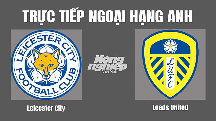 Trực tiếp bóng đá Ngoại hạng Anh giữa Leicester City vs Leeds United hôm nay 21/10/2022