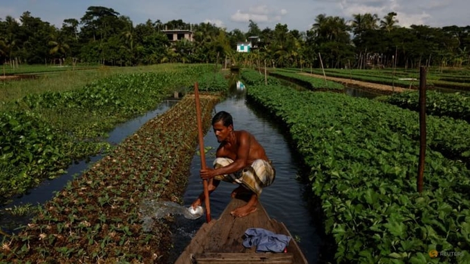 Mohammad Ibrahim irrigates a floating bed at his farm in Pirojpur district, Bangladesh, on Aug 16, 2022. Photo: Reuters