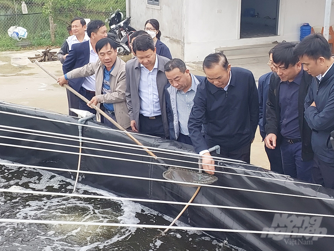 Thứ trưởng Bộ NN-PTNT Phùng Đức Tiến cùng Đoàn công tác kiểm tra mô hình nuôi tôm công nghệ cao tại xã Nghi Quang, huyện Nghi Lộc. Ảnh: Việt Khánh.