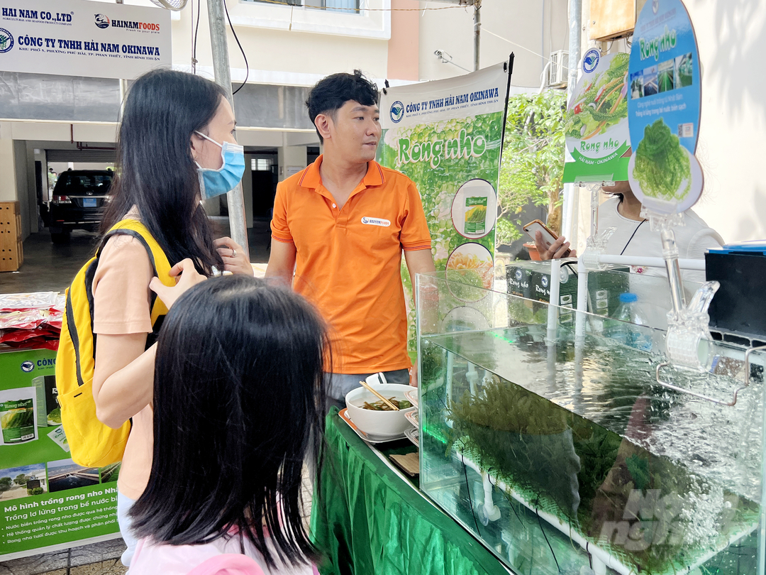 Hiện sản phẩm rong nho này đang bán lẻ cho người tiêu dùng thông qua hệ thống phân phối như siêu thị Aeon, Emart, Ân Nam, FamilyMart, Co.op Mart... Ngoài ra, phân phối cho các nhà hàng, đặc biệt là nhà hàng Nhật và còn xuất khẩu đi Nhật Bản, Đài Loan và các nước khác. Ảnh: Nguyễn Thủy.