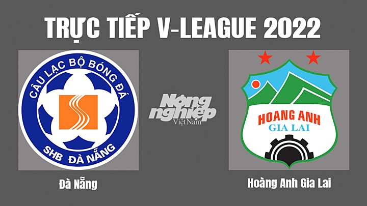 Trực tiếp bóng đá V-League (VĐQG Việt Nam) 2022 giữa Đà Nẵng vs HAGL hôm nay 22/10/2022