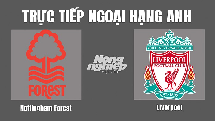 Trực tiếp bóng đá Ngoại hạng Anh giữa Nottingham Forest vs Liverpool hôm nay 22/10/2022