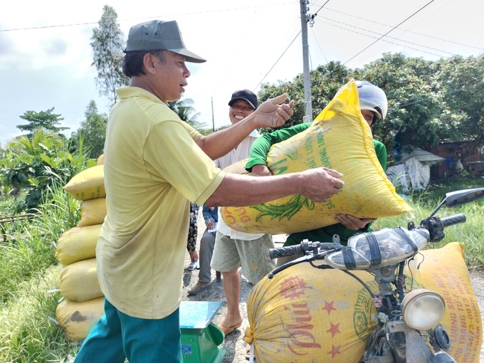 Diện tích và năng suất  lúa thu đông ở tỉnh Vĩnh Long năm nay giảm so với cùng kỳ. Ảnh: Minh Đảm.