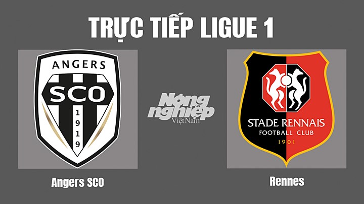 Trực tiếp bóng đá Ligue 1 (VĐQG Pháp) 2022/23 giữa Angers SCO vs Rennes hôm nay 23/10/2022