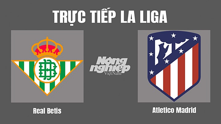 Trực tiếp bóng đá Betis vs Atletico hôm nay 23/10