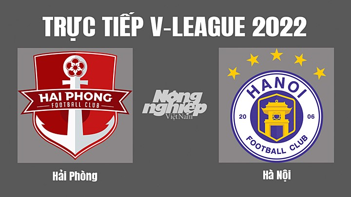 Trực tiếp bóng đá V-League (VĐQG Việt Nam) 2022 giữa Hải Phòng vs Hà Nội hôm nay 23/10/2022