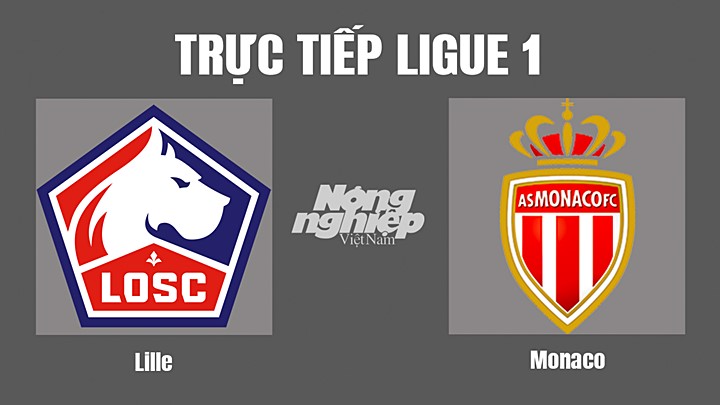 Trực tiếp bóng đá Ligue 1 (VĐQG Pháp) 2022/23 giữa Lille vs Monaco hôm nay 24/10/2022