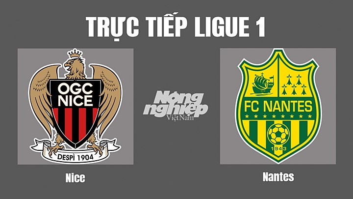 Trực tiếp bóng đá Ligue 1 (VĐQG Pháp) 2022/23 giữa Nice vs Nantes hôm nay 23/10/2022