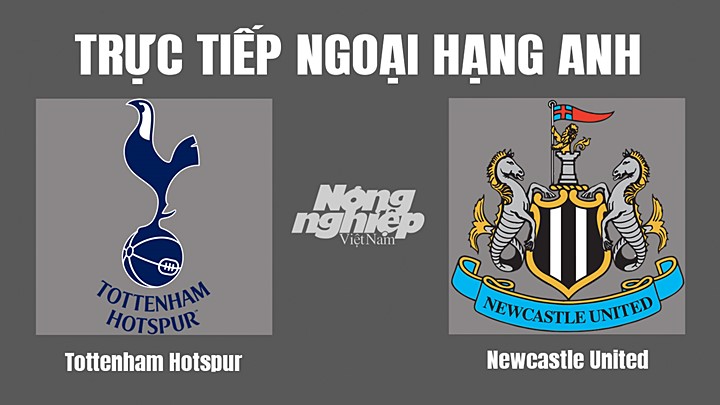 Trực tiếp bóng đá Ngoại hạng Anh giữa Tottenham vs Newcastle United hôm nay 23/10/2022