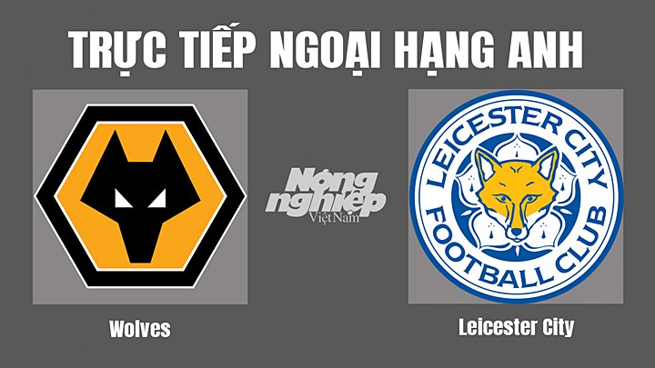 Trực tiếp bóng đá Ngoại hạng Anh giữa Wolves vs Leicester City hôm nay 23/10/2022