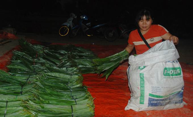Chị Hoàng Thị Ánh Nguyệt đang thu mua lá tre Bát Độ cho người dân. Ảnh: Nguyễn Tuấn Anh.