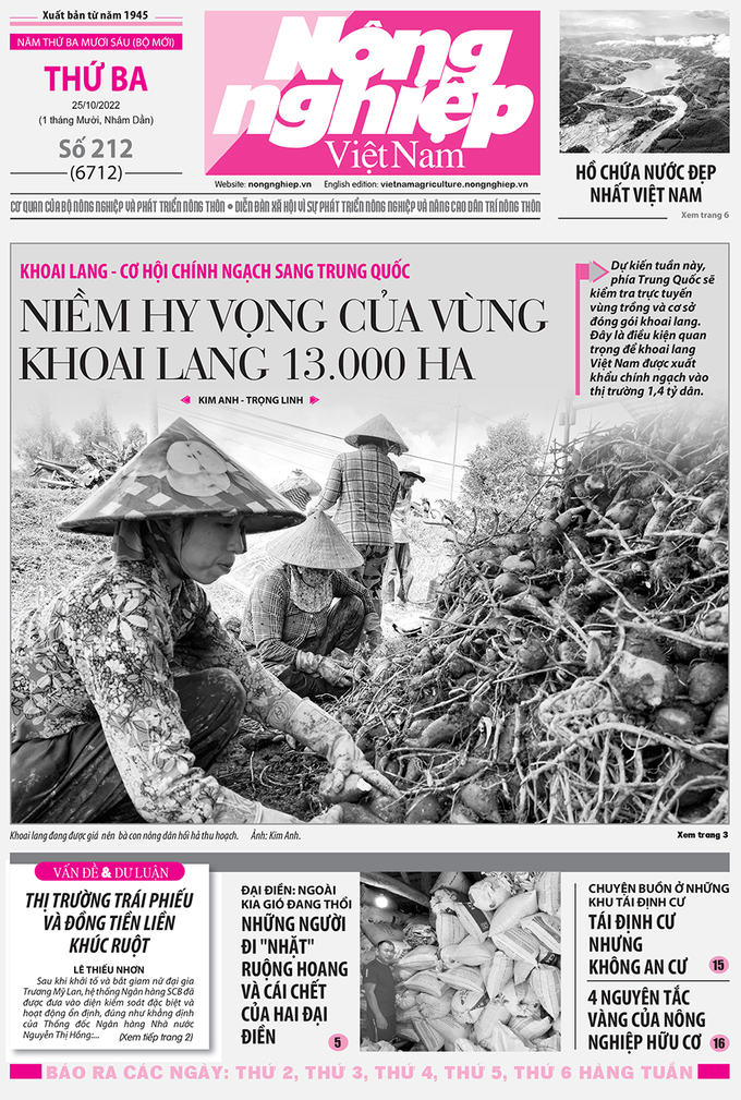 Tin nông nghiệp nổi bật trên số 212, báo Nông nghiệp Việt Nam ngày 25/10/2022