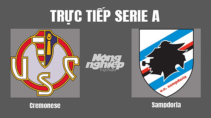 Trực tiếp bóng đá Serie A (VĐQG Italia) 2022/23 giữa Cremonese vs Sampdoria hôm nay 24/10