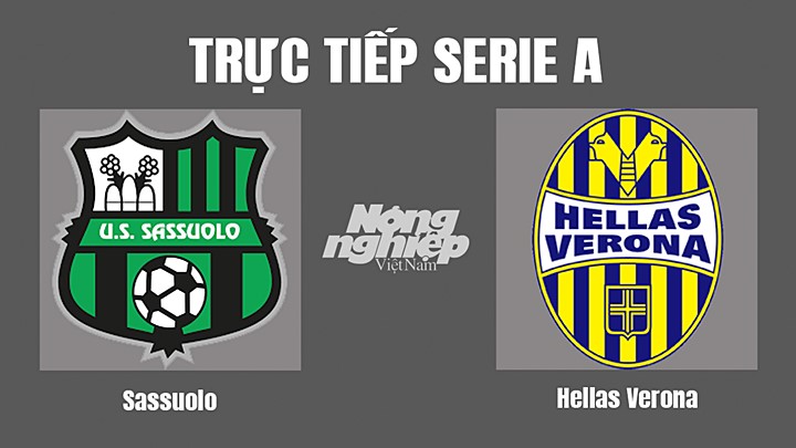 Trực tiếp bóng đá Serie A (VĐQG Italia) 2022/23 giữa Sassuolo vs Hellas Verona hôm nay 25/10