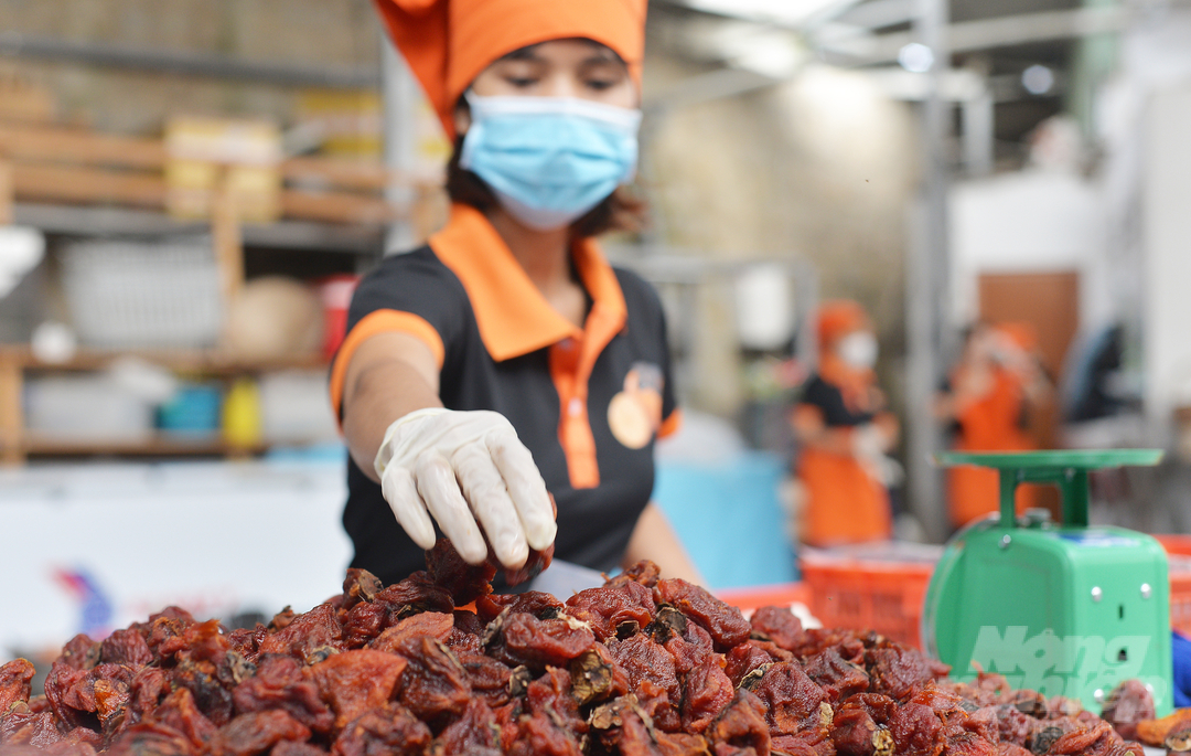 'After 20 days, the water in the persimmon fruit is almost completely removed to achieve a soft, sweet taste and a characteristic aroma.  This product will then be classified, packed and vacuumed and then supplied to the market,' said Ms. Nguyen Thi Lan Anh.   