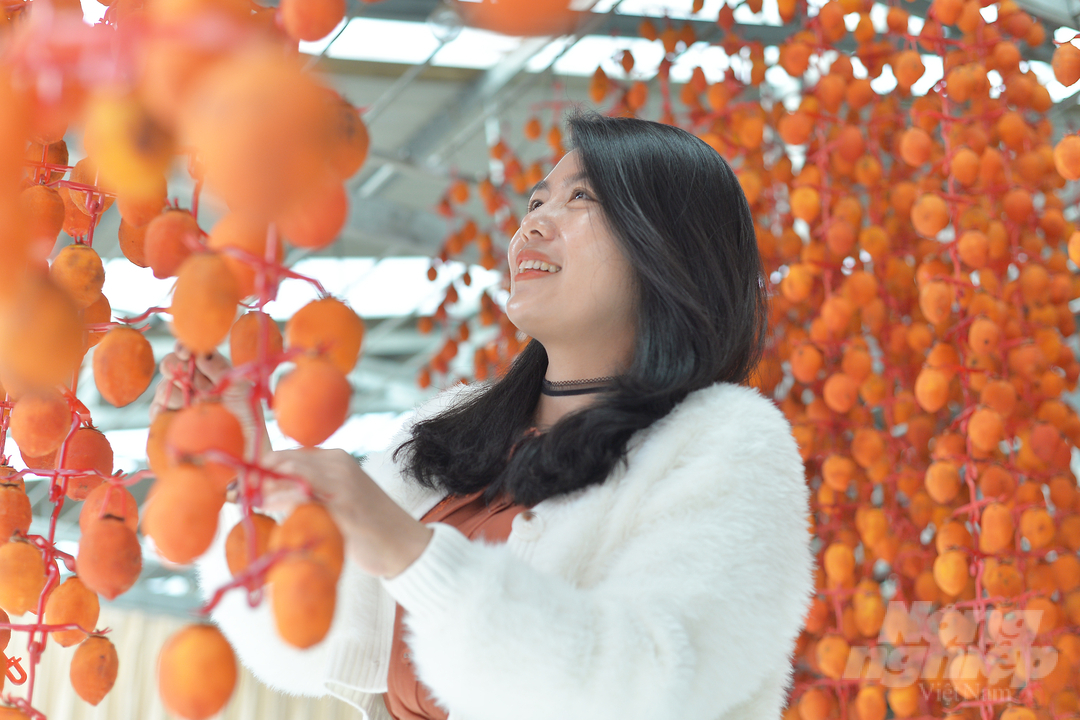 Le Thi Thu Thuy, a tourist from Hanoi, said that she tried the wind-dried persimmon product of Da Lat many years ago, but this is the first time to experience the rose garden and visit the processing process.  She confided: 'Da Lat wind-dried persimmon is very special.  The product is soft, fragrant and very delicious, so I will buy some to bring back to Hanoi as a gift'. 