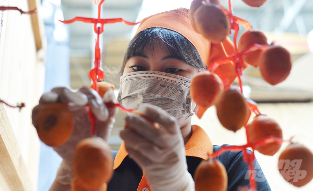According to the owner of the wind-drying persimmon facility, people in Da Lat currently process persimmons by different methods such as wind drying, heat drying or charcoal drying.  Each method, each family has its own secret to creating a unique product.  